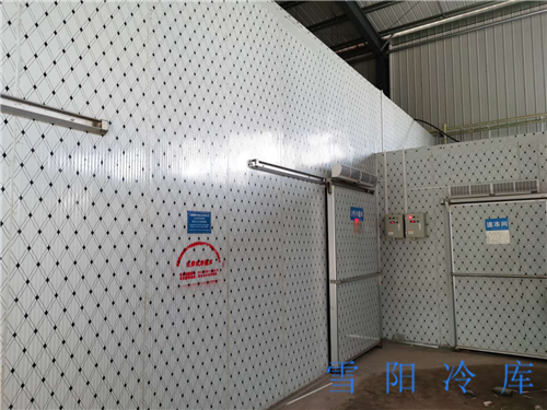 速凍冷庫(kù)為什么能